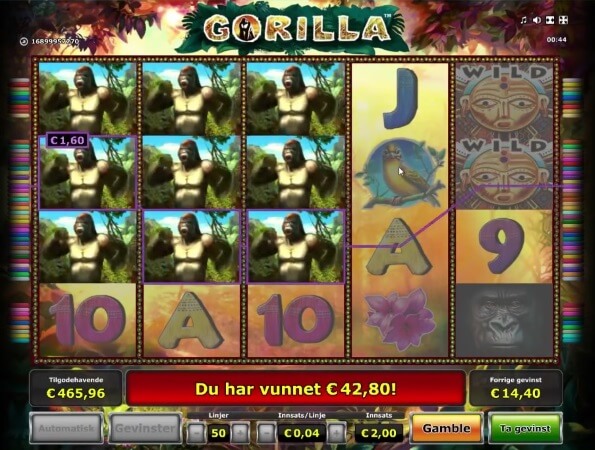 gorilla-win