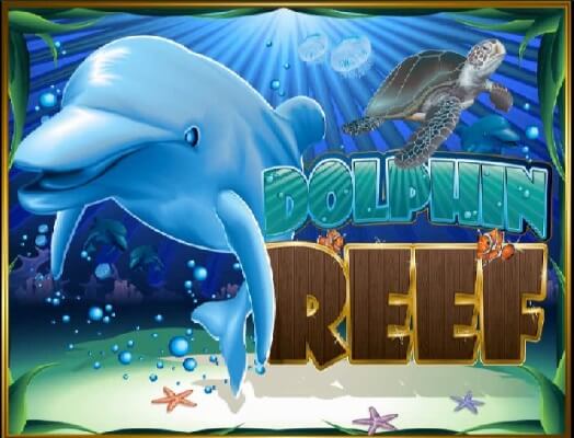 dolphin-reef-1