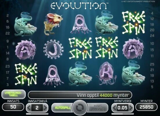 evolution-spins