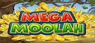 slot logo Игровой автомат Mega Moolah