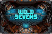 slot logo Видеопокер Wild Sevens